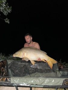 Leather Carp