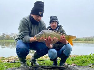 Common Carp