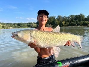 Grass Carp