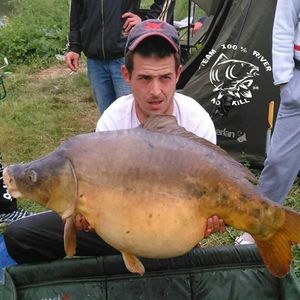 Mirror Carp
