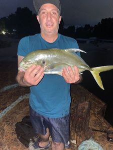 Crevalle Jack