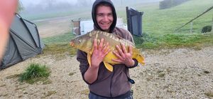 Leather Carp