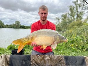 Mirror Carp