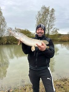 Northern Pike
