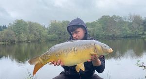Mirror Carp