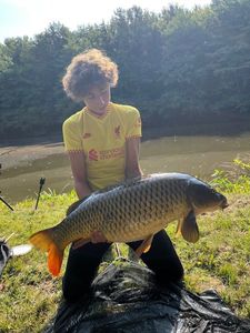 Grass Carp