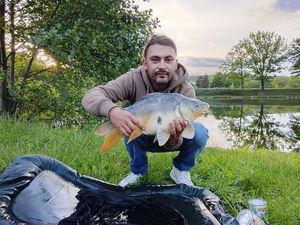 Common Carp