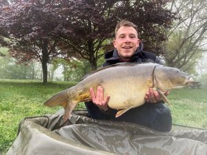 Mirror Carp