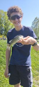 Largemouth Bass