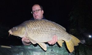 Common Carp