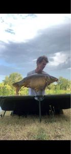 Mirror Carp