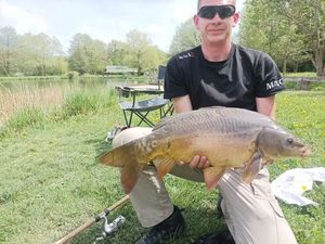 Mirror Carp