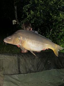 Leather Carp
