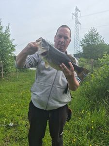 Smallmouth Bass