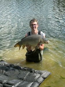 Mirror Carp