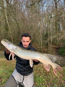 Northern Pike