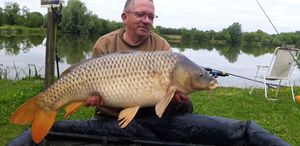 Common Carp