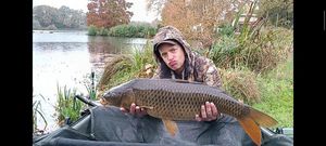 Common Carp