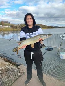 Northern Pike