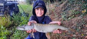 Northern Pike