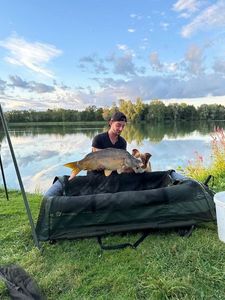 Mirror Carp