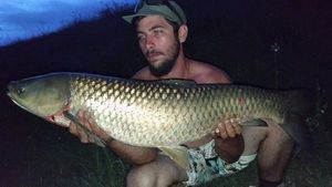 Silver Carp
