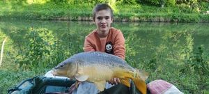 Mirror Carp