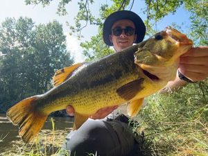 Largemouth Bass