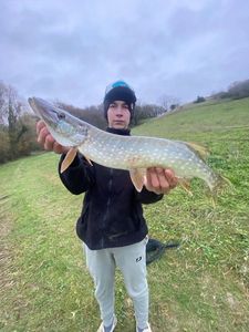 Northern Pike