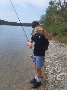Largemouth Bass