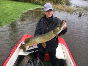 Northern Pike
