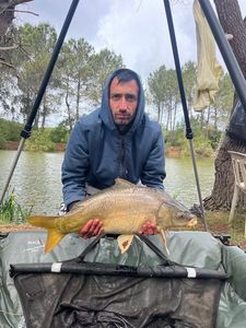 Leather Carp
