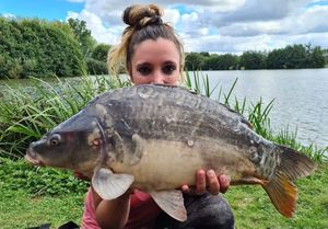 Mirror Carp