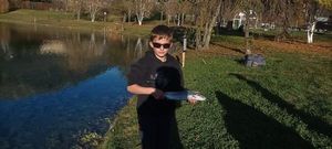 Rainbow Trout