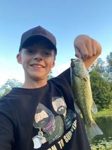 Smallmouth Bass