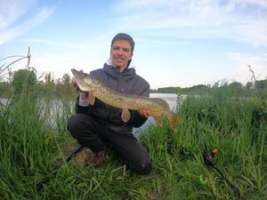 Northern Pike