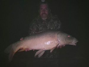 Mirror Carp