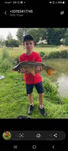 Mirror Carp