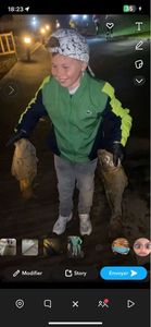 European Flounder