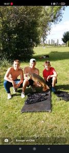 Mirror Carp