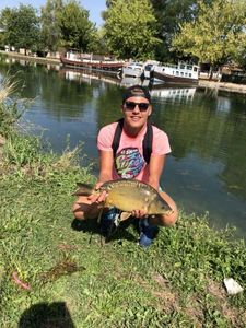 Mirror Carp