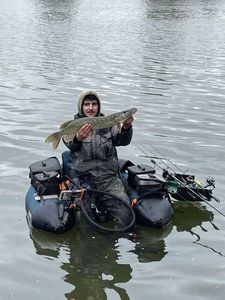 Northern Pike