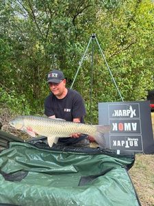 Grass Carp