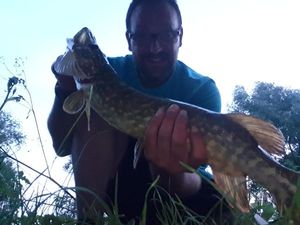 Northern Pike