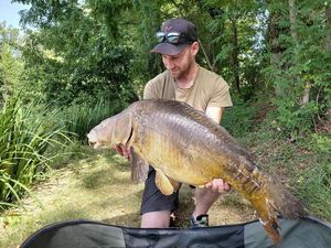 Mirror Carp