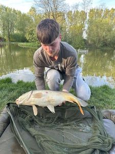 Mirror Carp