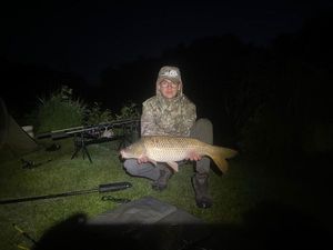 Common Carp