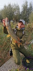Northern Pike