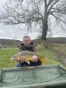 Mirror Carp