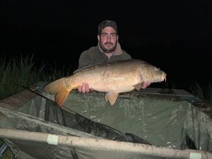 Mirror Carp